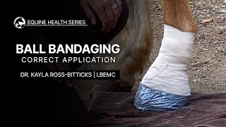 How to Bandage Your Horses Foot [upl. by Neelra]