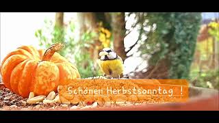 Schönen Herbstsonntag [upl. by Kenay]