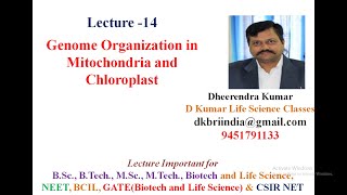 Genome Organization in Mitochondria and Chloroplast by Dheerendra Kumar [upl. by Nirad]