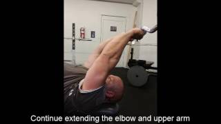 Cubital Tunnel Syndrome  Avoid Triceps SkullCrusher Exercise [upl. by Vassili883]