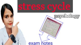 stress definition stress cycle  psychology [upl. by Gowon]