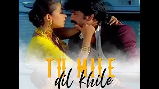 Tu Mile Dil Khile Full Video Song HD  Criminal 1994  Nagarjuna Ramya Krishna  Kumar Sanu [upl. by Notnats655]