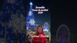 Encendido de luces 2024 christmas navidad [upl. by Yenmor]