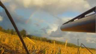 Goose Hunting In Sweden 2012 [upl. by Buyse770]