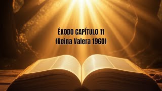 🔥Éxodo Capítulo 11 La BIBLIA HABLADA en ESPAÑOL Reina Valera 1960  AUDIO de MEDITACION [upl. by Noek734]