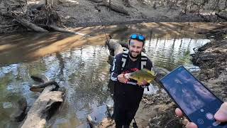 Loddon River Flick  Golden Perch Yellas Fishing [upl. by Anerahs]