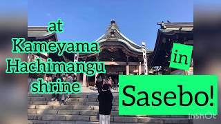 【Sasebo】Toka Ebisu at Kameyama Hachimangu 【させぼ】毎年1月10日「十日恵比須大祭」ってこんな風！How to pray at Japanese shrine [upl. by Costanzia]