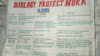 Summary of human gland  Project work  Drawing [upl. by Docilla809]