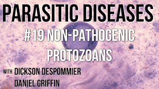 Parasitic Diseases Lectures 19 NonPathogenic Protozoans [upl. by Kameko]