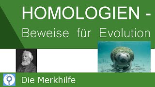 Homologien  Beweise für die Evolution  OntogeneseBiochemischampMolekularParasiten  Evolution 21 [upl. by Rafaellle]