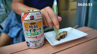 20241008【限定品早朝飲み】タカラ 焼酎ハイボール 特製 梨サイダー割り・メカジキ串焼き [upl. by Kwasi516]