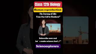 Germinal layer  Human Reproduction Class 12th Biology ch3 neet ncert Cbse [upl. by Hilario]