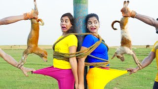 New Entertainment Top Funny Video Best Comedy in 2024 Episode 271 By Busy Fun Ltd [upl. by Porush]