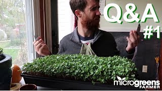 Microgreens QampA Episode 1 [upl. by Beebe155]