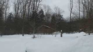 Gypsy Trail Winter Rentals at Allegany State Park by Paul Crawford [upl. by Cence]