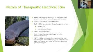 Electrotherapy Introduction and Terminology [upl. by Nillor247]