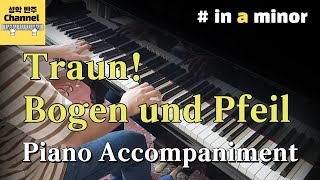 J Brahms  Traun Bogen und Pfeil  in a minor Piano Accompaniment Karaoke Piano 반주 [upl. by Yragerg906]