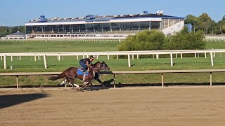 Audibly rail and Incisive Kitten outside breeze 12 at Laurel on 99 [upl. by Ahscrop246]