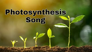 Photosynthesis Song with lyrics [upl. by Paquito]