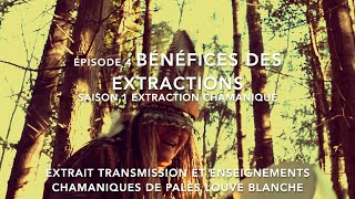 épisode 4 Bénéfices des extractions S1 Extractions chamaniques Palès Louve Blanche [upl. by Spense579]