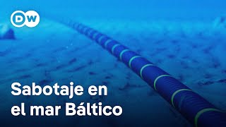 Rusia niega responsabilidad en cortes de cables submarinos en el Báltico [upl. by Aribold253]