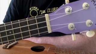 Ukulele Nut Width  Got A Ukulele Beginners Tips [upl. by Pros174]