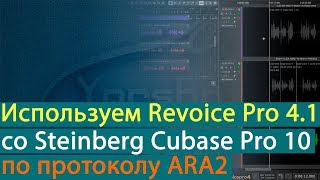 Использование Revoice Pro 41 с Cubase Pro 10 по протоколу ARA2 Yorshoff Mix [upl. by Schroer492]