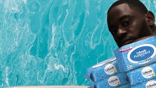 Is Cottonelle Flushable Wet Wipes really flushable [upl. by Akiraa]