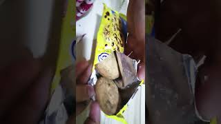 CreamO chocolate chip Cookies satisfiying ytshort [upl. by Asserrac]