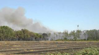 Incendio pineta Lido di Dante [upl. by Llehsal]