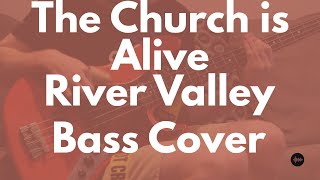 The Church is Alive Bass Cover  River Vally Worship [upl. by Llezom792]