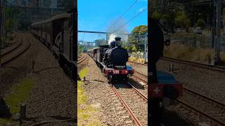 Steam Engine 3265 quotHunterquot speeds through Carlton relay run Hurstville heritage transport expo 2024 [upl. by Adnawuj939]