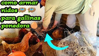 como armar nidos para gallinas ponedoras gallinas [upl. by Lenoyl375]