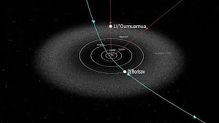 Confirmed Interstellar Object Paths Video [upl. by Corotto]