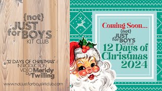 NJFB quot12 Days of Christmasquot 2024 Introduction by Meridy Twilling [upl. by Lally]