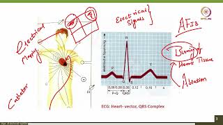 Lec 33 Introduction to Biopotentials [upl. by Sitoeht]