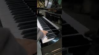 Heintzman baby grand  like new [upl. by Abbye]