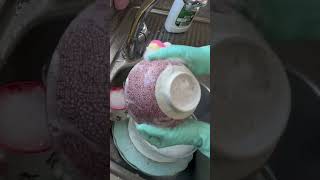 Washing dishes with gloves dishwasher cleaning satisfying dishwashing asmr gloves [upl. by Linkoski]