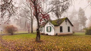 Misty Autumn Walk Through a Quaint Neighborhood  Hillsboro Oregon [upl. by Muir738]