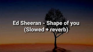 Ed Sheeran  Shape of you Slowed  reverb [upl. by Duleba337]