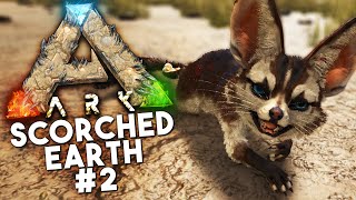 ARK Scorched Earth DLC Episode 2 BOOMERANGS JERBOAs and ANNOYING BUGS Ark Survival Evolved [upl. by Yrannav]