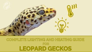 What’s The Proper Lighting Setup For A Leopard Gecko [upl. by Ataeb400]