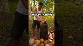 Air Kelapa dikasih wadah penampung kelapa [upl. by Hanshaw]