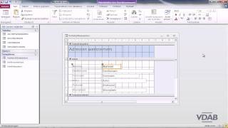Access 2010  49 Opmaak 1 [upl. by Auhesoj]