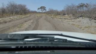 Day 2 Linyanti to Savuti along the cut line Very very sandy in places [upl. by Navert]