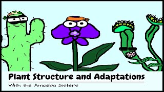 OLD VIDEO Plant Structure and Adaptations [upl. by Gnuy]