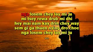 Nowie shingkha  Bhutanese Karoake  lyrics [upl. by Ursal441]