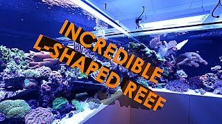 INCREDIBLE LSHAPED REEF AQUARIUM 3500 LITRES [upl. by Baxie]