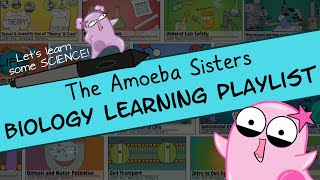 Amoeba Sisters Biology Learning Playlist Introduction [upl. by Nissie]