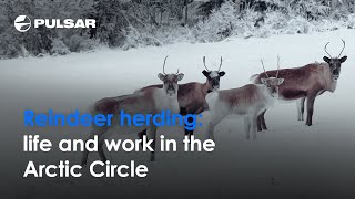 Reindeer herding  Life in the Arctic Circle  With Ari Maununiemi [upl. by Aretha]